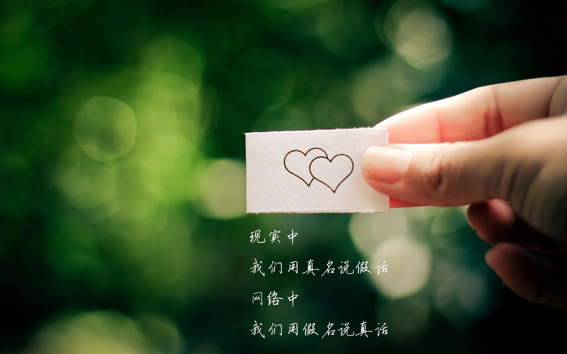 世界举重线上训练档案：选手数据存档助力长期跟踪管理，举重世界纪录官方网站